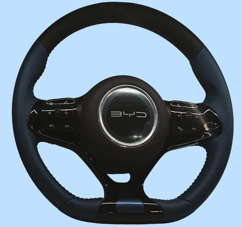 BYD 海鷗、海豚 E2（HOD）